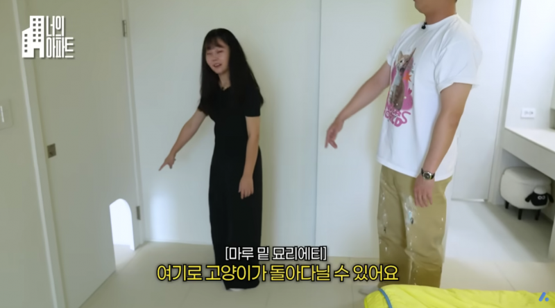 고양이) [잡담] 5000천만원 들여서 집을 캣타워로 꾸며놓은 사람.. | 인스티즈