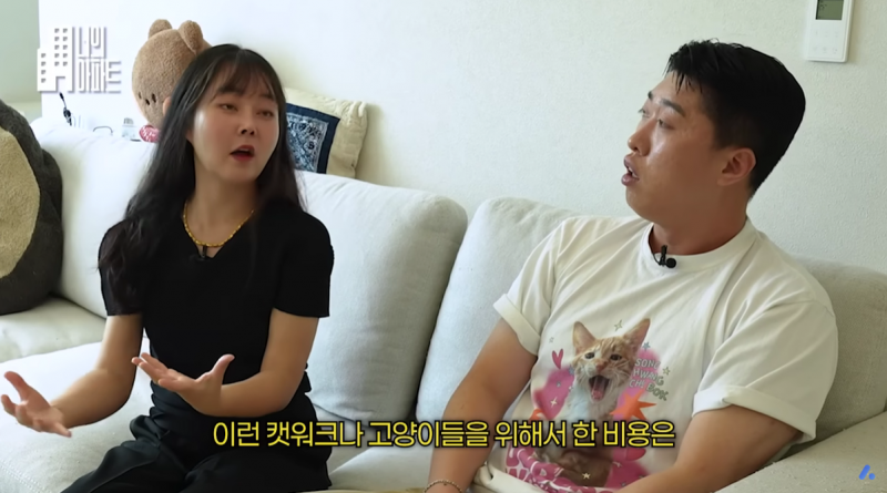고양이) [잡담] 5000천만원 들여서 집을 캣타워로 꾸며놓은 사람.. | 인스티즈