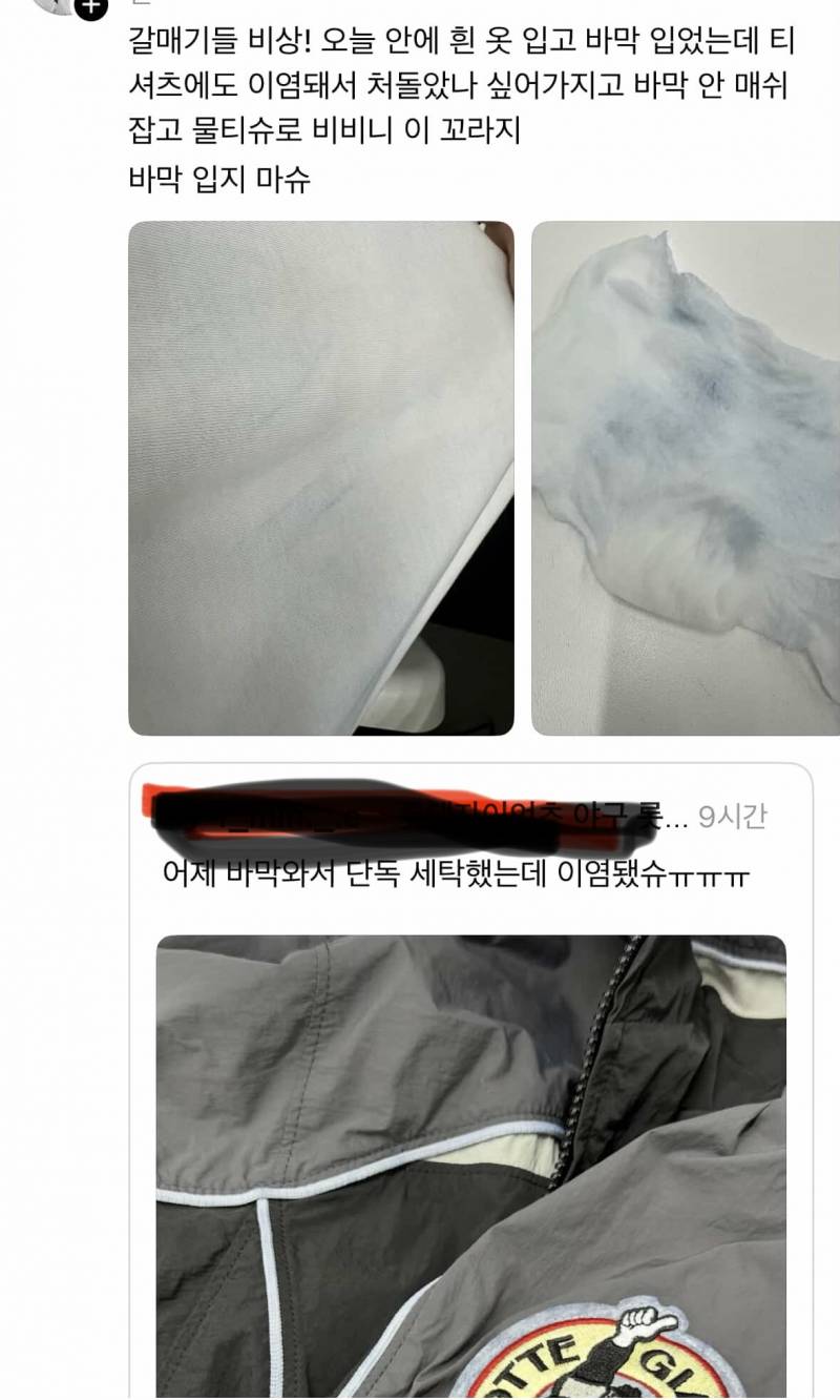 [잡담] 폴리테루 바막 산 갈맥들 조심 | 인스티즈