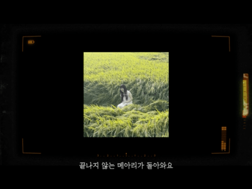 뮤비 분위기 완전 감다살이라는 싱송라 .jpgif | 인스티즈