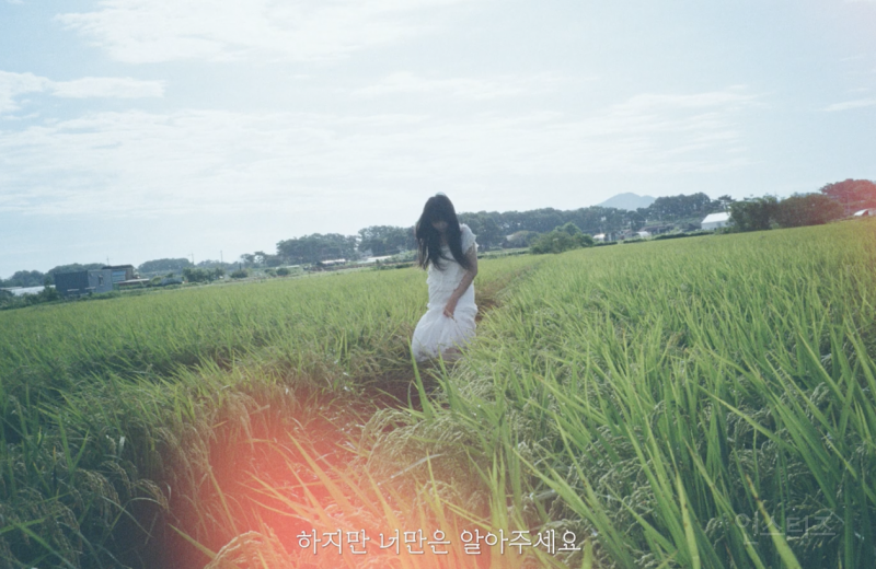뮤비 분위기 완전 감다살이라는 싱송라 .jpgif | 인스티즈