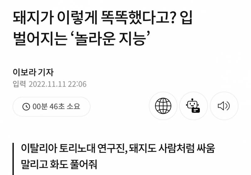 [잡담] 하 얘들아 친구가 이거 노시환이랰ㅋㅋㅋㅋㅋㅋㅋㅋㅋ | 인스티즈
