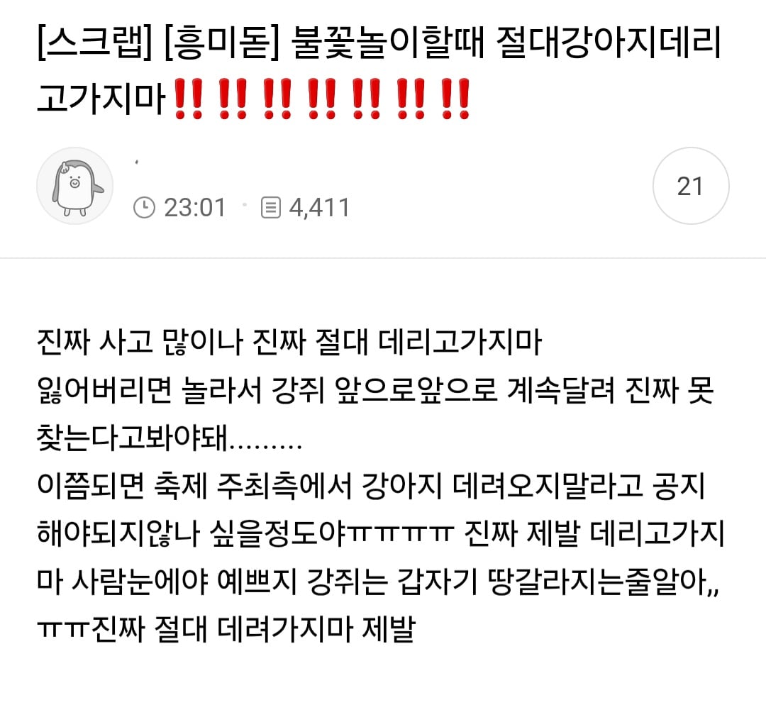 불꽃축제할때 절대 강아지 데리고 가지마.jpg (새사진 주의) | 인스티즈