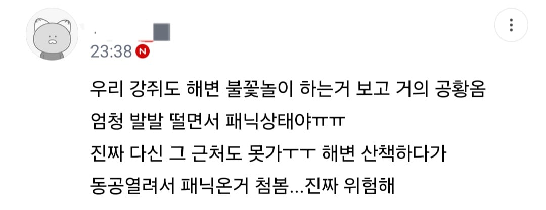 불꽃축제할때 절대 강아지 데리고 가지마.jpg (새사진 주의) | 인스티즈