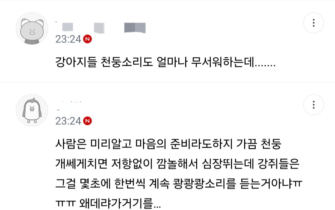 불꽃축제할때 절대 강아지 데리고 가지마.jpg (새사진 주의) | 인스티즈