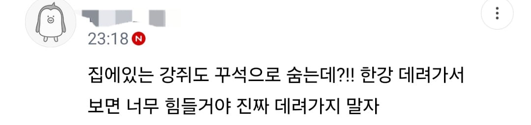 불꽃축제할때 절대 강아지 데리고 가지마.jpg (새사진 주의) | 인스티즈