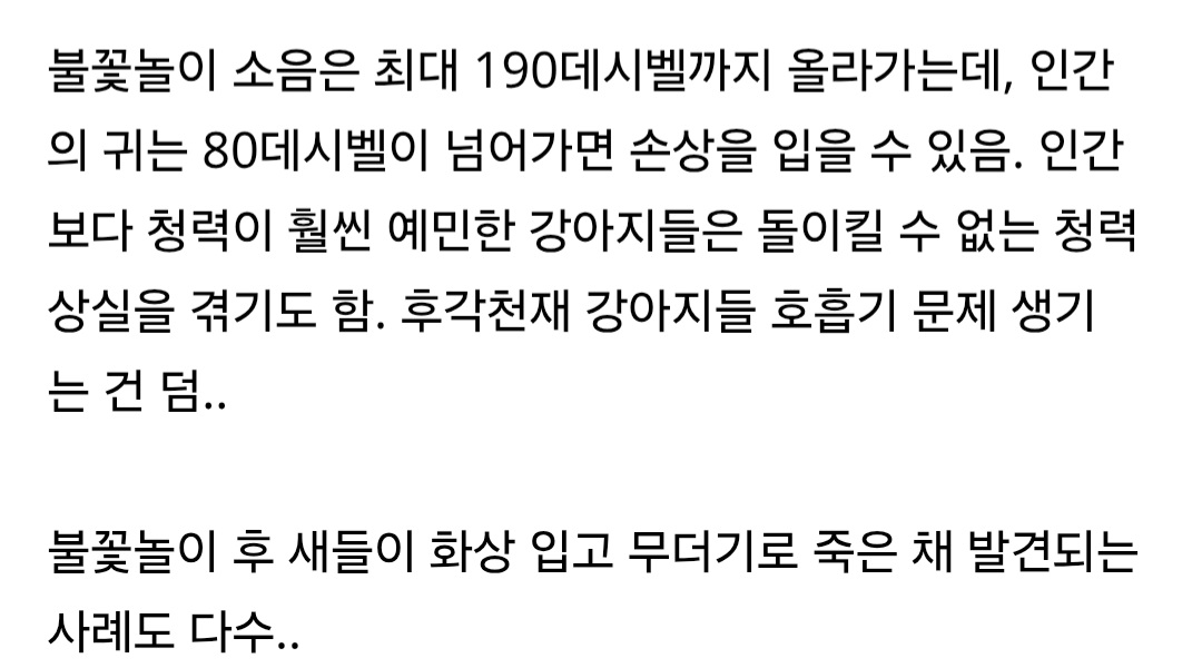 불꽃축제할때 절대 강아지 데리고 가지마.jpg (새사진 주의) | 인스티즈