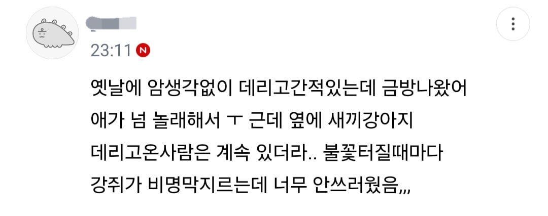 불꽃축제할때 절대 강아지 데리고 가지마.jpg (새사진 주의) | 인스티즈