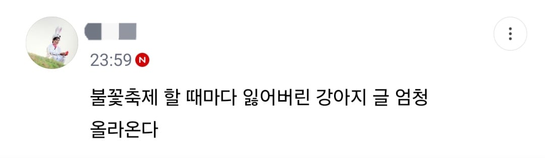 불꽃축제할때 절대 강아지 데리고 가지마.jpg (새사진 주의) | 인스티즈