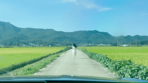 여름날 시골 분위기 난다는 뮤비 .jpgif | 인스티즈