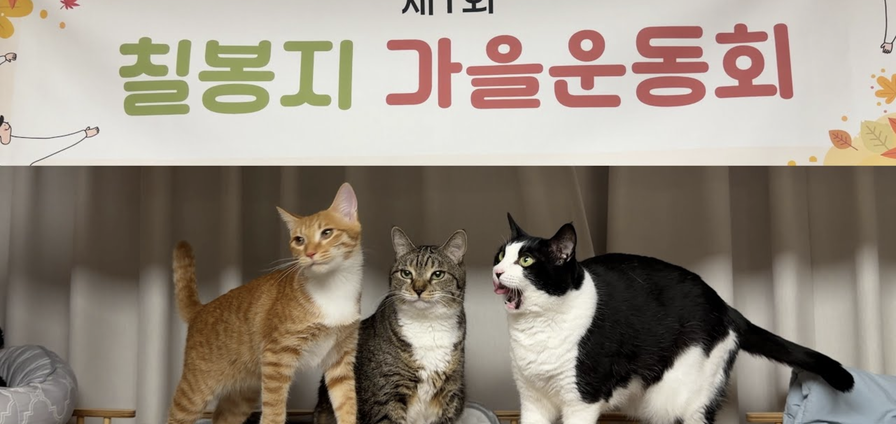 [잡담] 언더월드(춘봉첨지네) 칠복이 근황 | 인스티즈