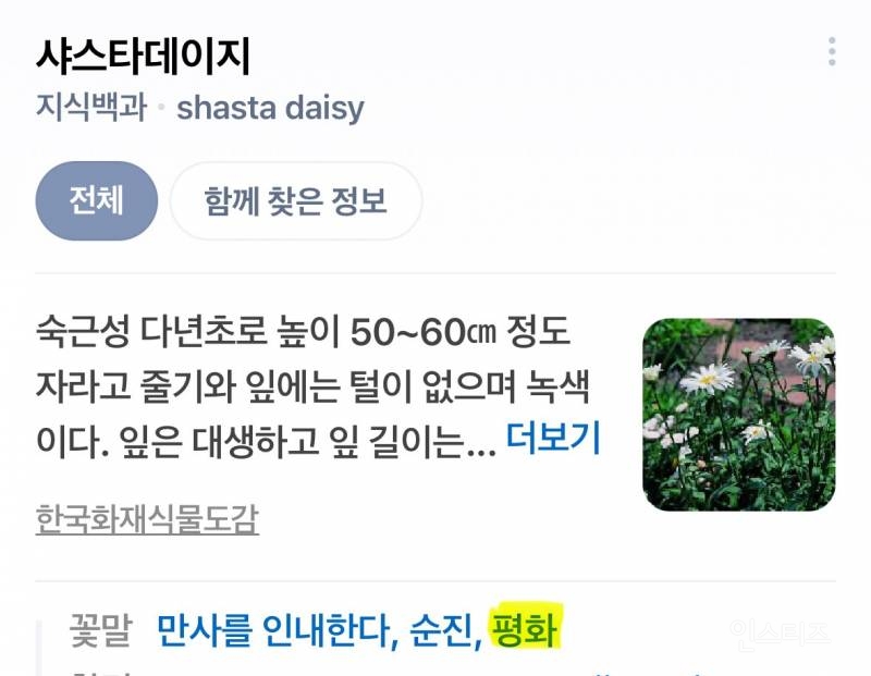 롯데백화점 본점에 DP된 지드래곤 목걸이.JPG | 인스티즈