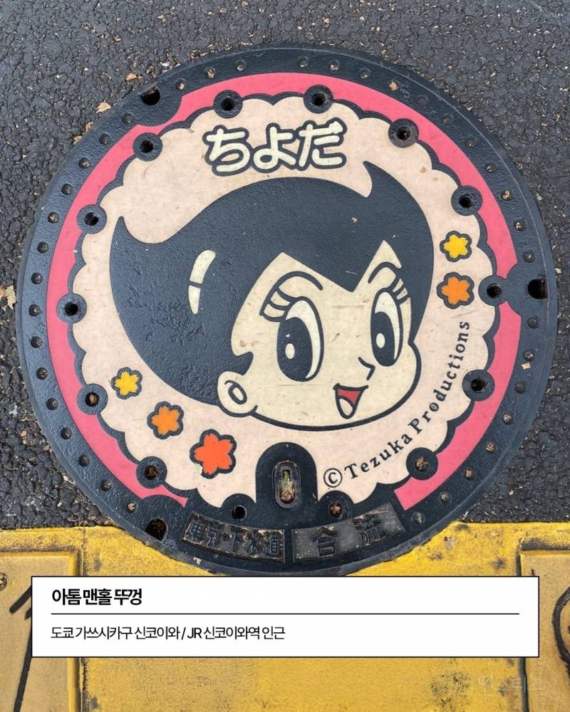 귀엽게 생긴 일본 맨홀뚜껑들 모음 | 인스티즈