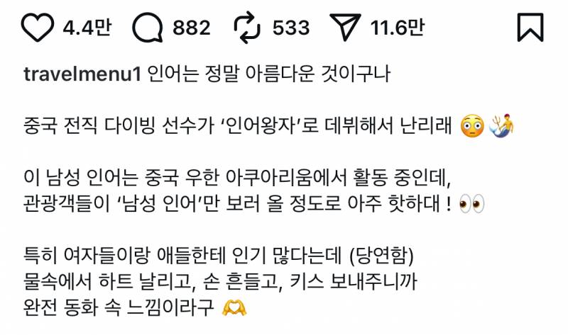 현재 미쳤다는 아쿠아리움 인어 연기자..🔞 | 인스티즈