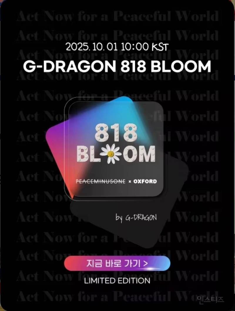 드디어 🌼실물뜬 지드래곤 피마원x옥스포드 콜라보 | 인스티즈