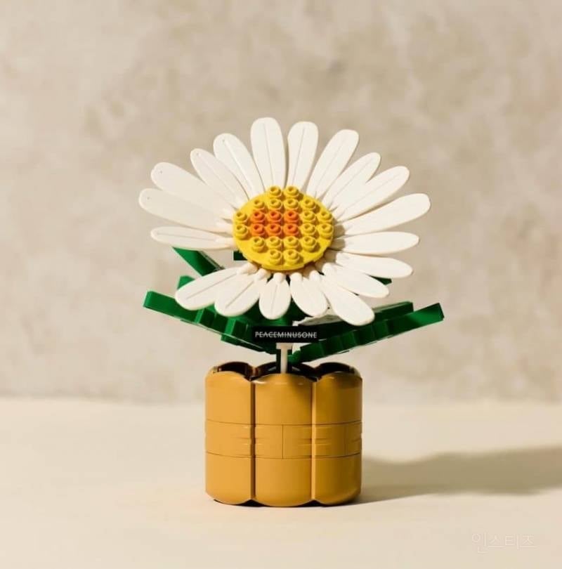 드디어 🌼실물뜬 지드래곤 피마원x옥스포드 콜라보 | 인스티즈