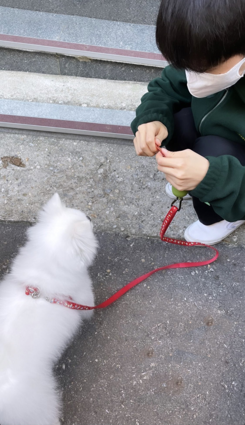 어딘가 챙겨줘야 할 것 같은 연하남친미 있으시다..jpg | 인스티즈