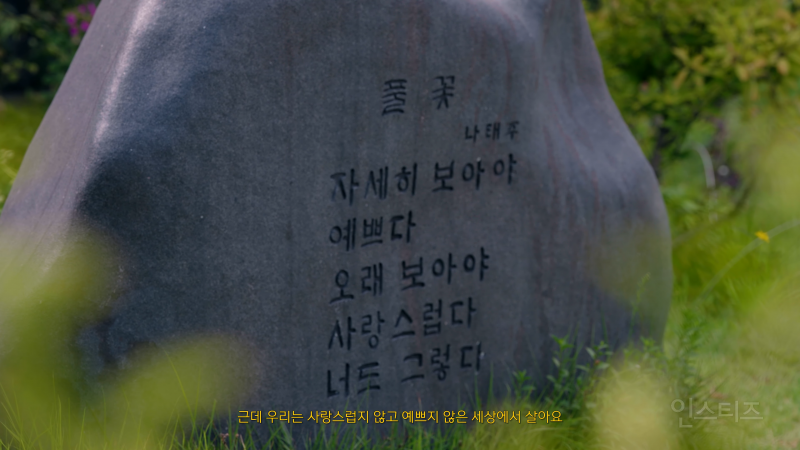 아이돌 자컨에 등장한 나태주 시인 | 인스티즈