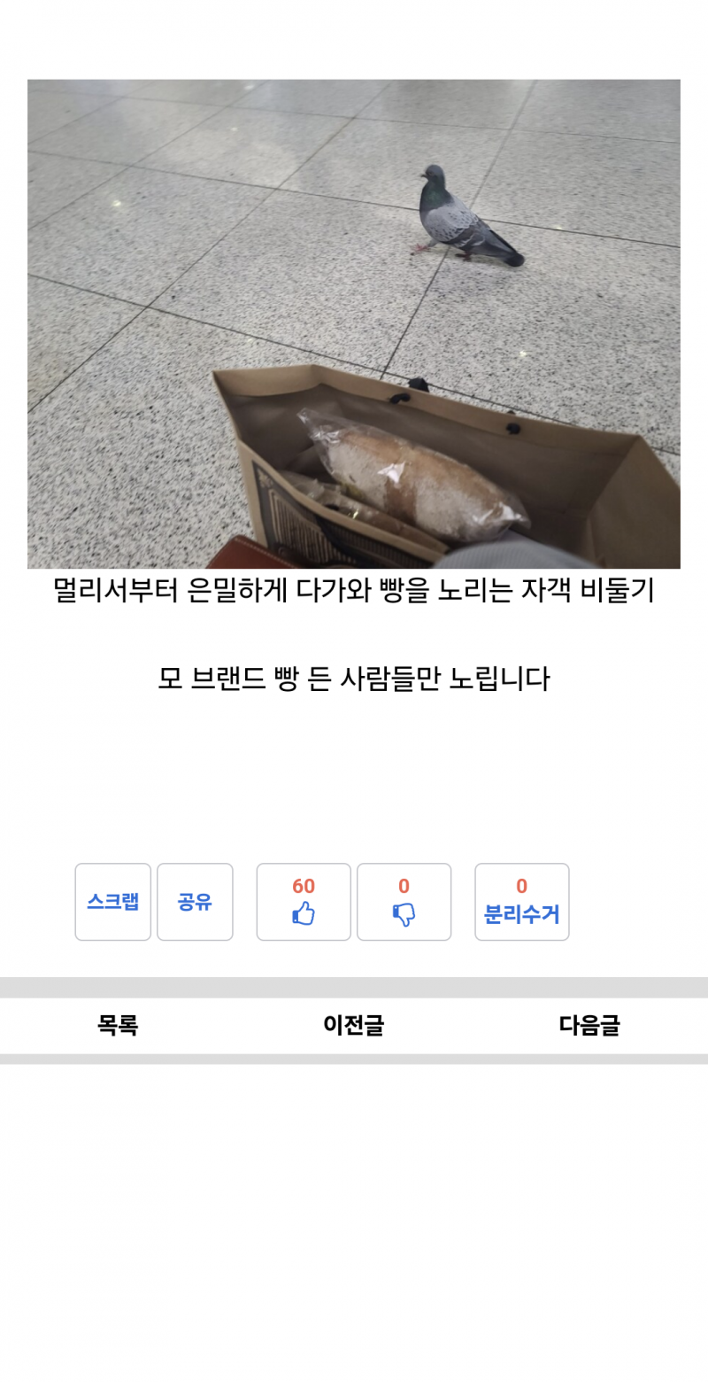 [잡담] 성심당 빵 들고 있으면 비둘기가 찾아와? | 인스티즈