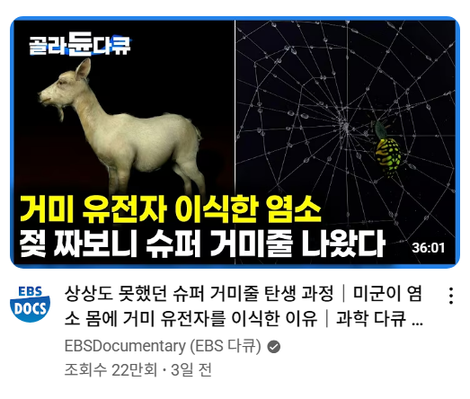 [잡담] 유튜브에서 방금 마주친 충격적인 문장 | 인스티즈