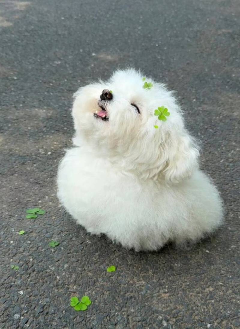 [잡담] 자 다노들아 우리 엔다에게 행운을 주자ㅏ🍀🍀🍀🩵 | 인스티즈