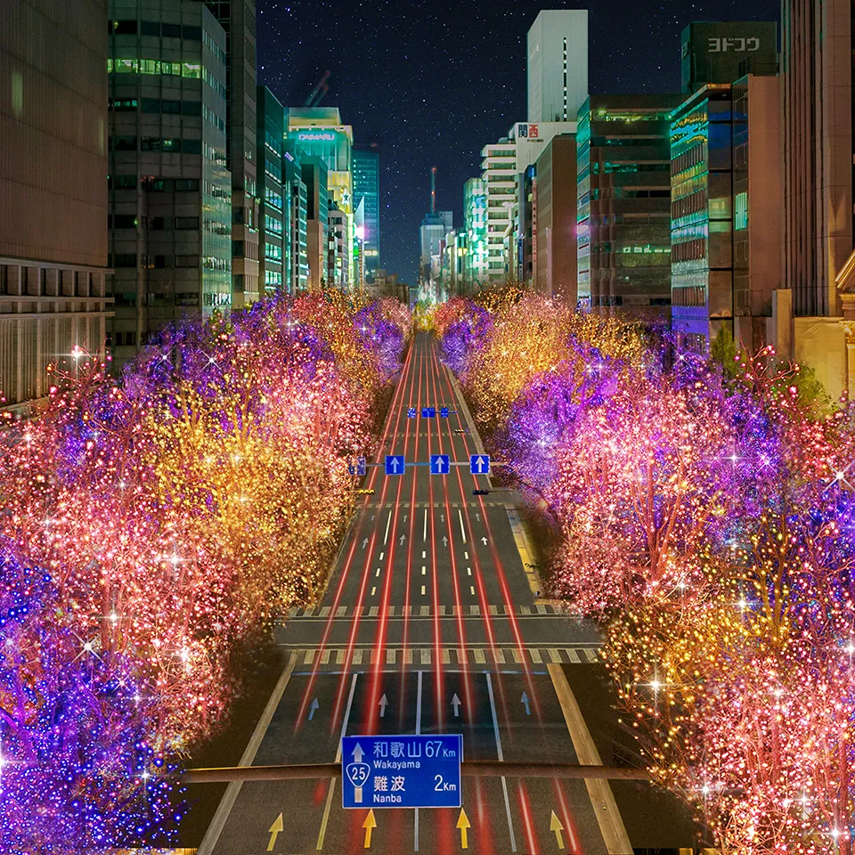 [잡담] 일본 도로 이쁘다 | 인스티즈
