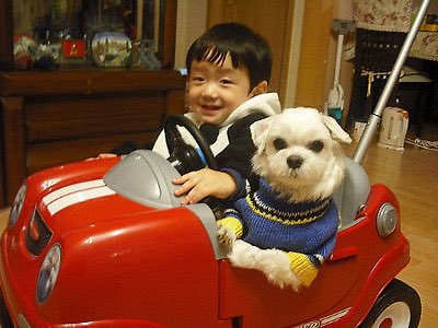 [잡담] 엥 충격 알디원 정상현 면허 있다는데?? | 인스티즈