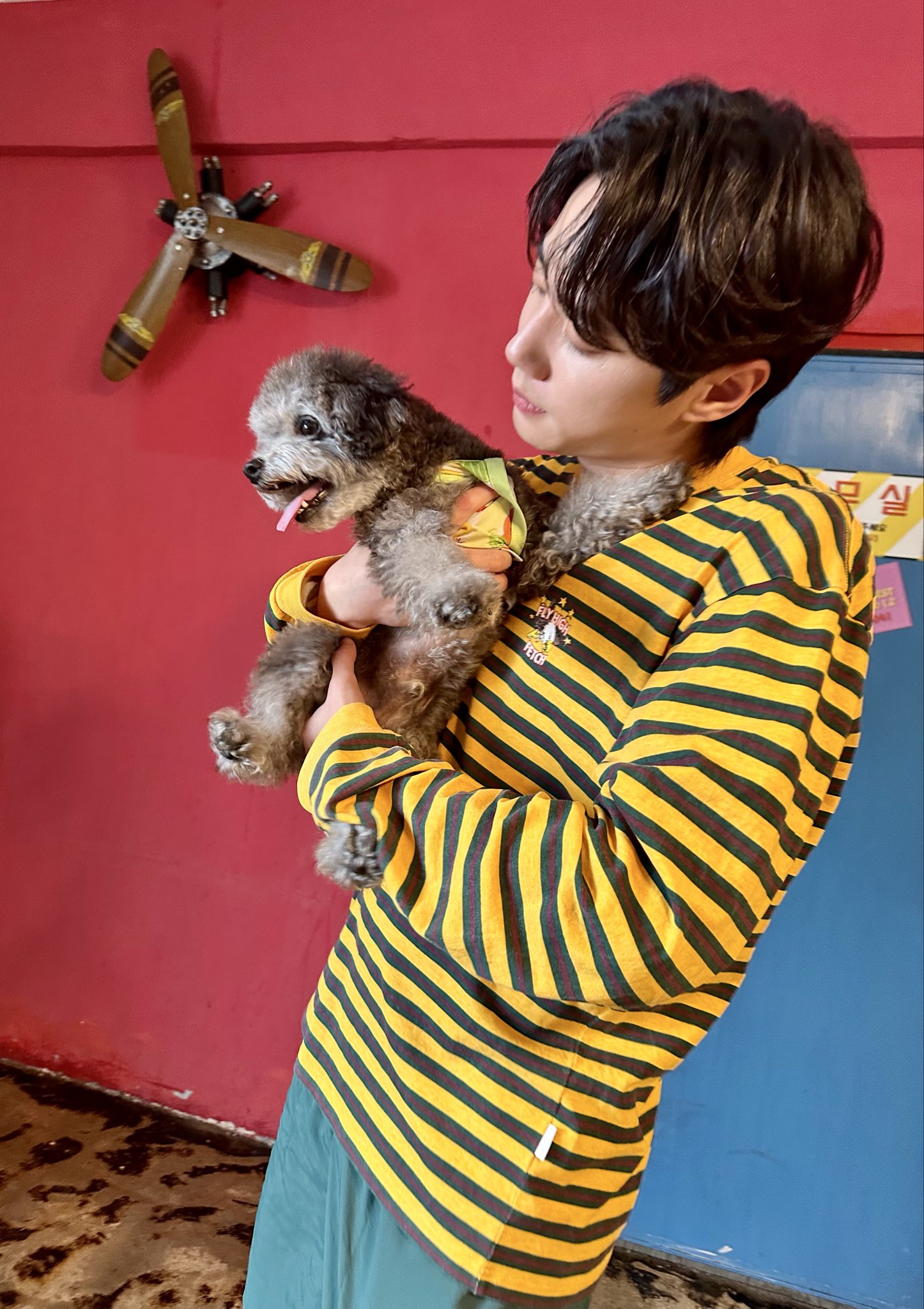 [잡담] 이준영 아버님이 추석 선물로 반려견이랑 사진 올려주셨는데 | 인스티즈