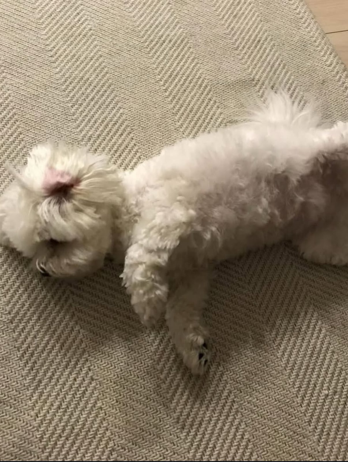 [잡담] 이정앙................ 이정아아ㅏㅏㅏㅏㅠㅠ | 인스티즈