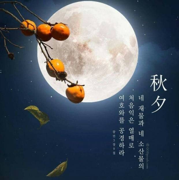 [잡담] 다들 즐추💙💙💙🌠사랑해 | 인스티즈