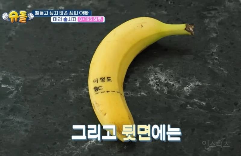 금손인데 센스까지 넘치는 심형탁 부인 사야 | 인스티즈
