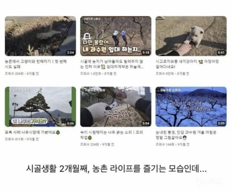 흑화한 귀농 유튜버.jpg | 인스티즈