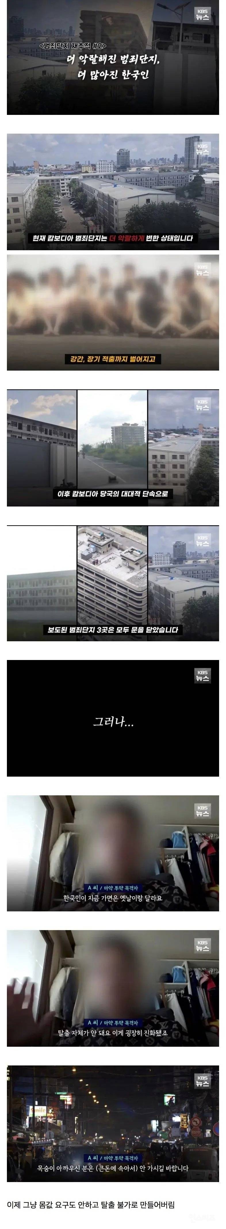 캄보디아 범죄단지 알려진 이후 근황 | 인스티즈