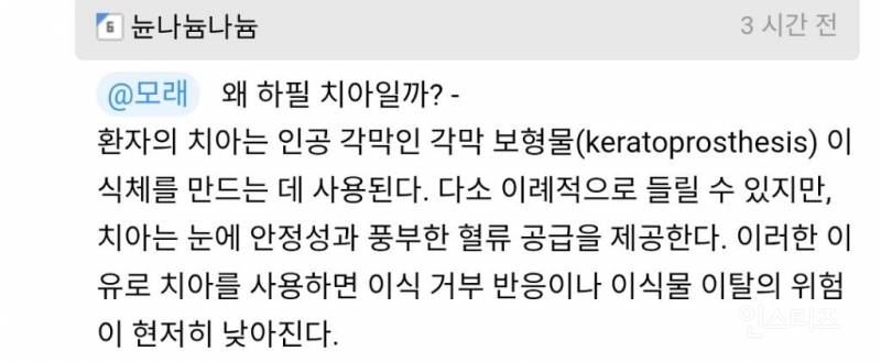 치아를 눈에 넣어 실명을 치료하는 안구 내 치아 수술 | 인스티즈