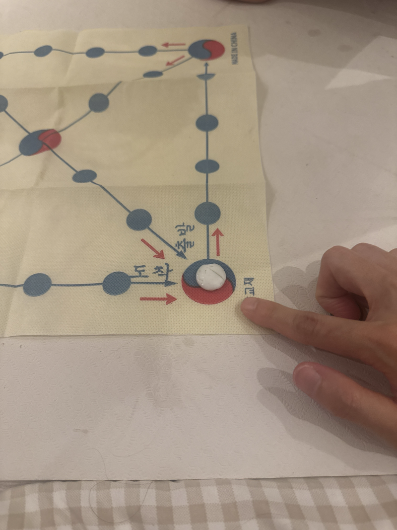 [잡담] 🚨우리집 지금 윷놀이하다가 호적 파일뻔했어 윷놀이 잘아는 익인들아 좀도와줘 | 인스티즈