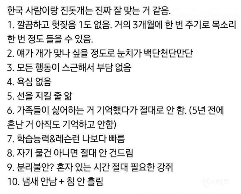 한국사람과 진돗개는 잘 맞는거 같음 | 인스티즈