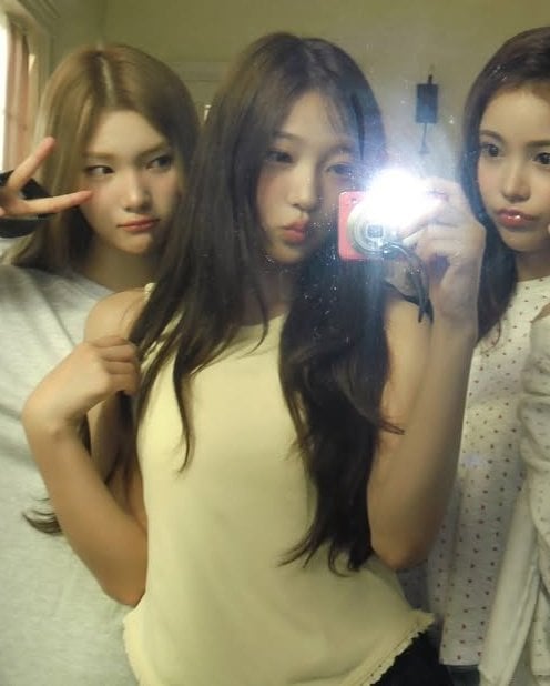 [잡담] 하투하 스텔라 뭐지.... | 인스티즈
