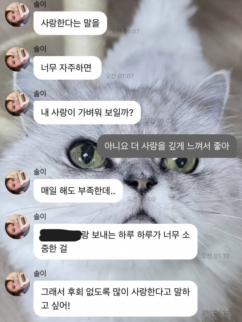 @: 배이가 페리페라 도토리좋아해 베이스로쓴다니까 댓글에 도토리좋아해 도배됐는데.twt | 인스티즈