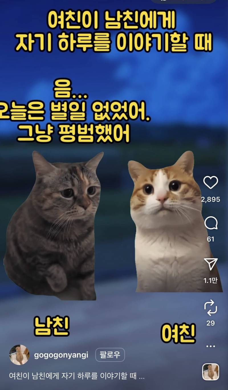 [잡담] 이런 커플들 많니 나만 떠드는 | 인스티즈