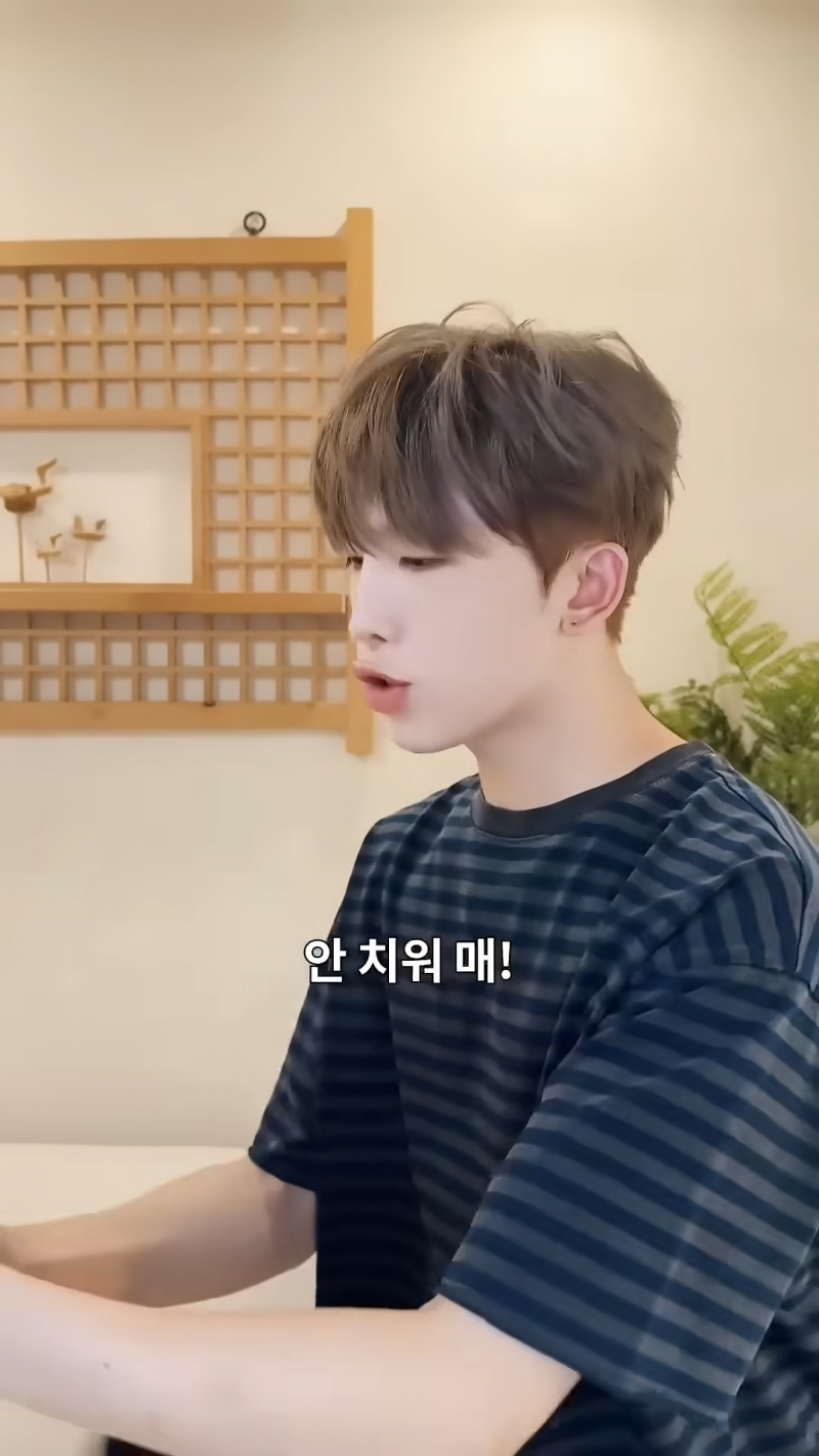 온갖 밈이 다 들어간 남돌 시트콤 자컨 ㅋㅋㅋㅋㅋㅋㅋ | 인스티즈