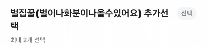 [잡담] 이거 내가 생각하는 그 화분 맞나???! | 인스티즈