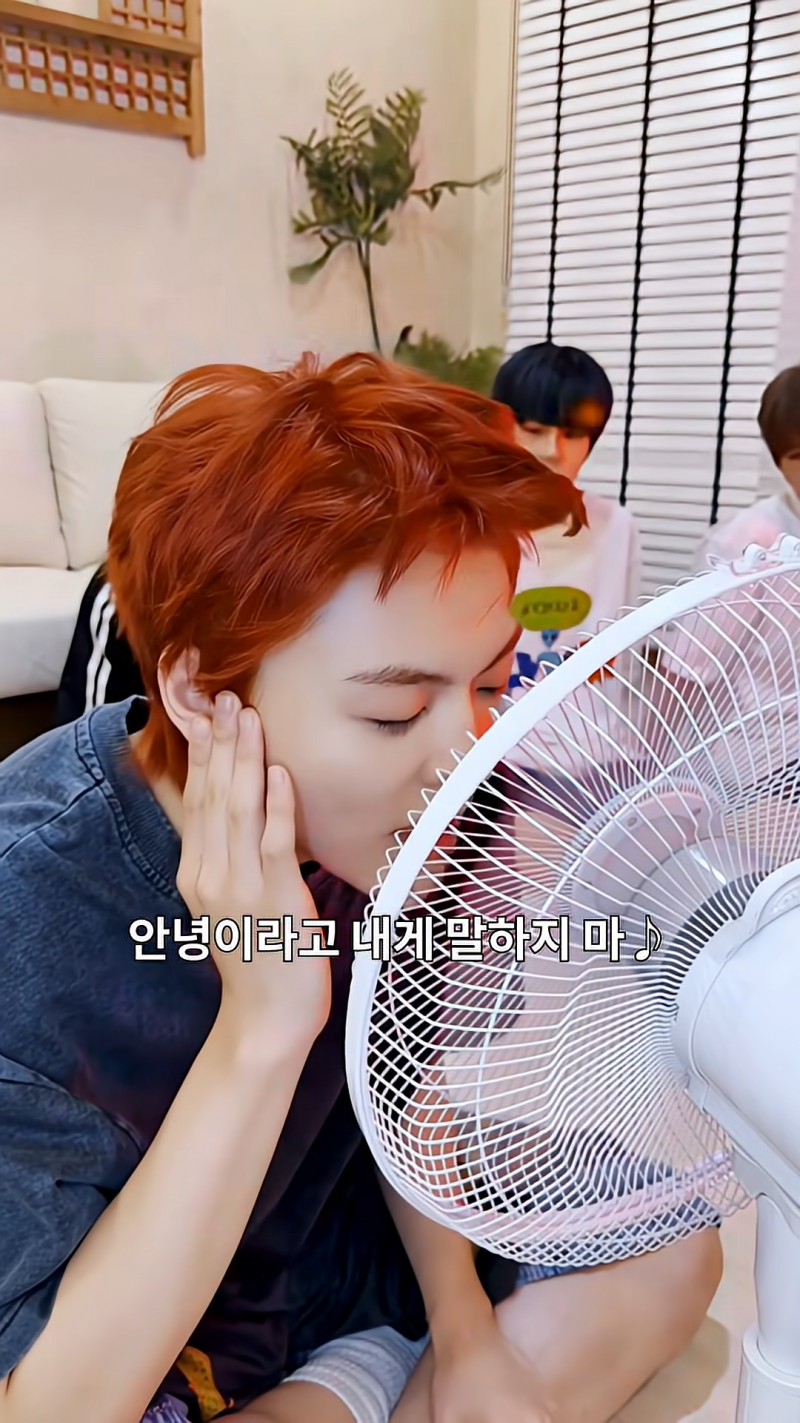 온갖 밈이 다 들어간 남돌 시트콤 자컨 ㅋㅋㅋㅋㅋㅋㅋ | 인스티즈