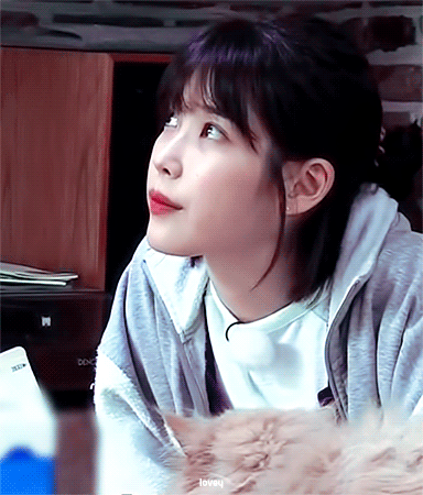 [잡담] 슬슬 효리네민박 | 인스티즈