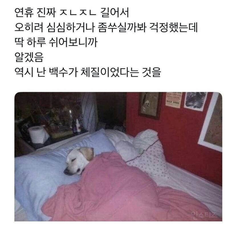 긴 연휴 쉬어보고 느낀점 | 인스티즈
