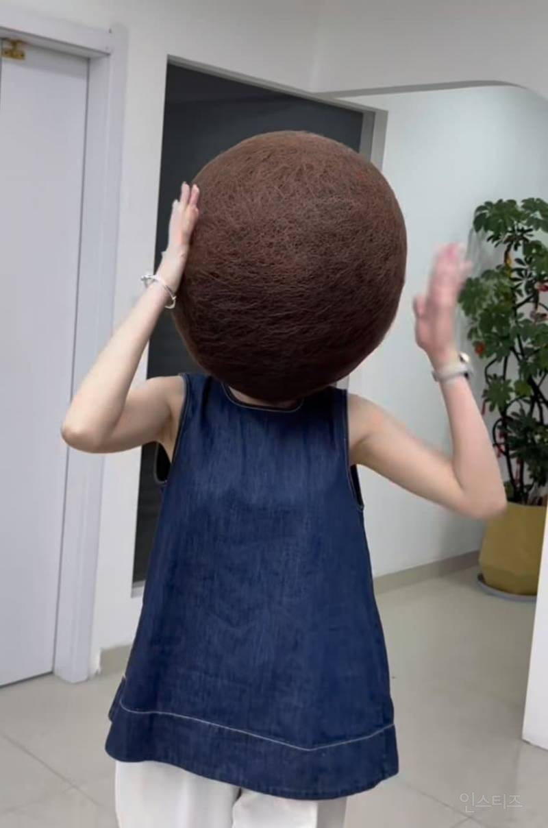 대륙의 넘버원 헤어 디자이너 | 인스티즈