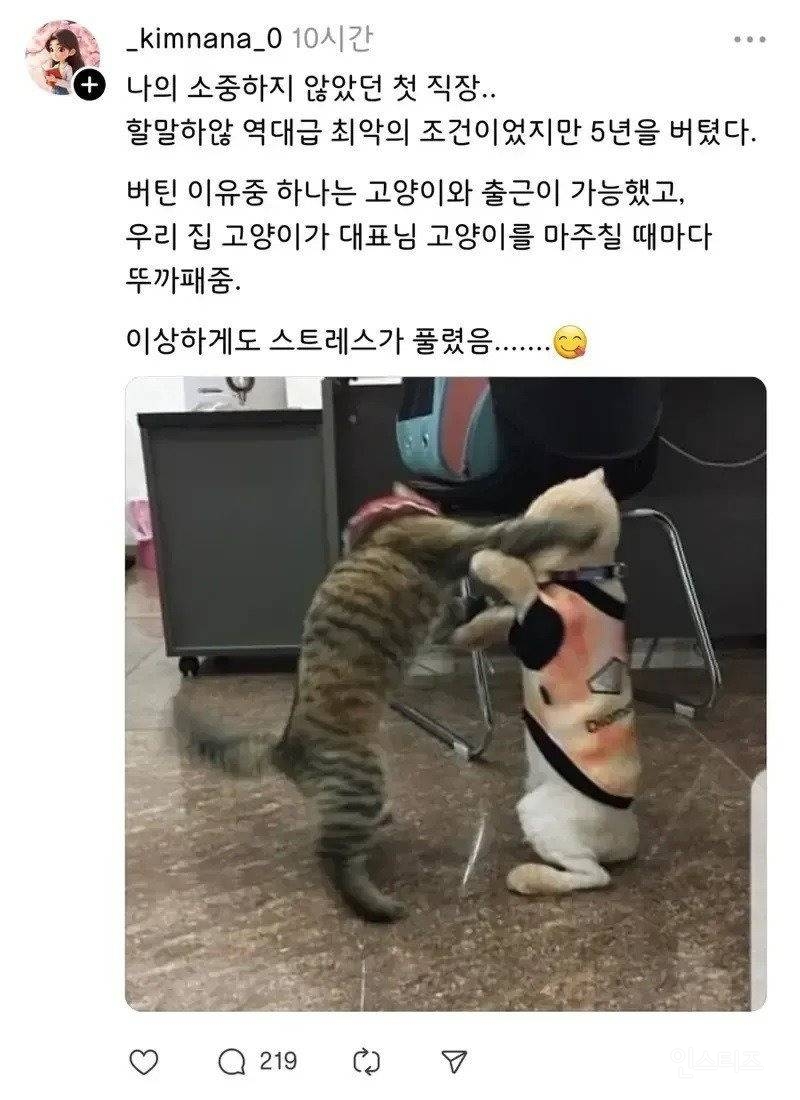 최악의 직장에서 5년이나 버틴 사람 | 인스티즈