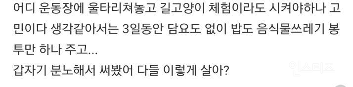 고양이가 이렇게 싹수가 없어도 되는거야? | 인스티즈