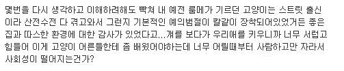 고양이가 이렇게 싹수가 없어도 되는거야? | 인스티즈