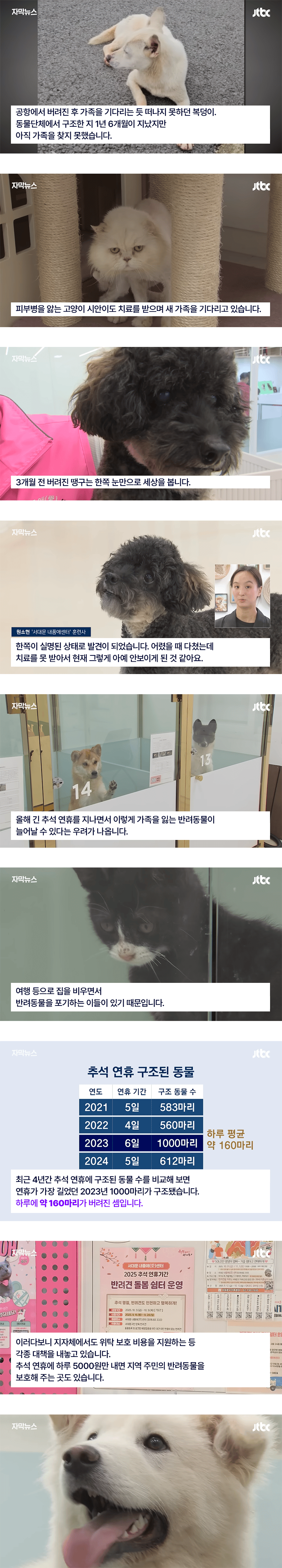 6일 동안 "1000마리" 버렸다. 연휴가 불러운 "악순환"현장 | 인스티즈
