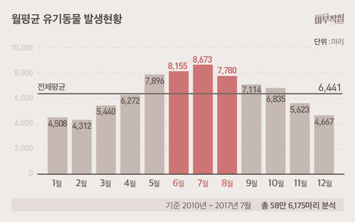 6일 동안 "1000마리" 버렸다. 연휴가 불러운 "악순환"현장 | 인스티즈